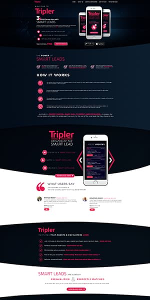 High Converting Landing Page Created by Logicloop for Tripler